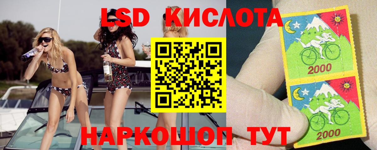 Бошки Шишки Кудрово