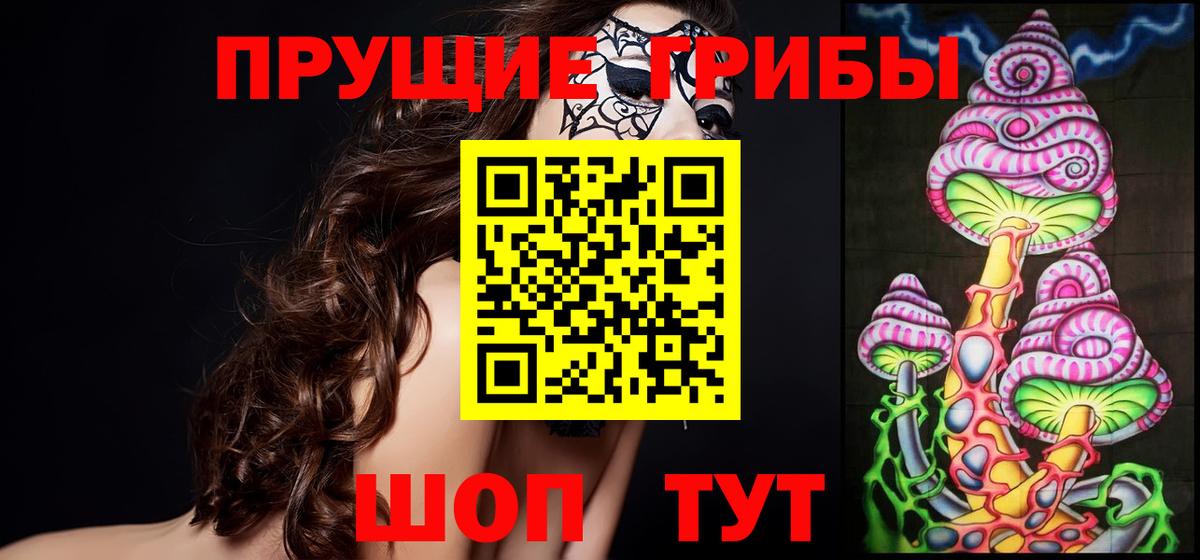 Кудрово  Псилоцибиновые грибы Psilocybine cubensis  Вход с VPN  Галлюциногенные грибы Magic Shrooms 